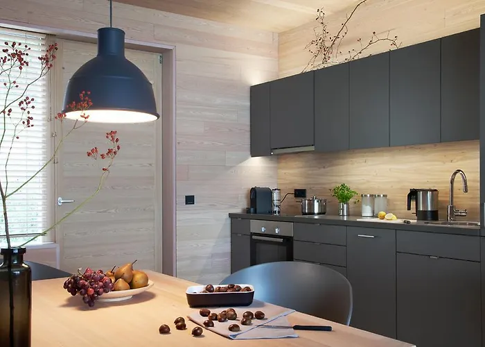 Daire 31, Ferienlofts Am Traunsee Traunkirchen