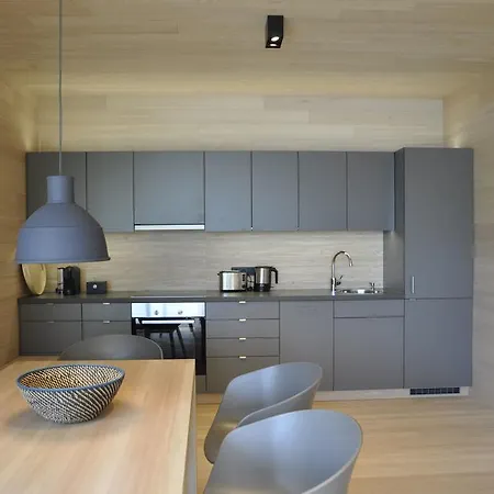 Apartman 31, Ferienlofts Am Traunsee Traunkirchen