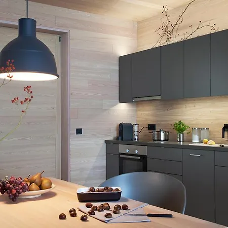 Apartment 31, Ferienlofts Am Traunsee Traunkirchen