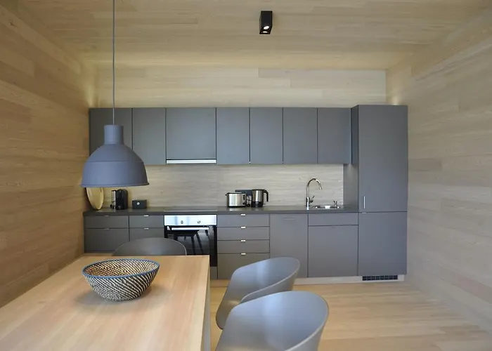 Apartment 31, Ferienlofts Am Traunsee Traunkirchen